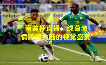 南美杯直播：绿茵激情跨越大陆的视觉盛宴