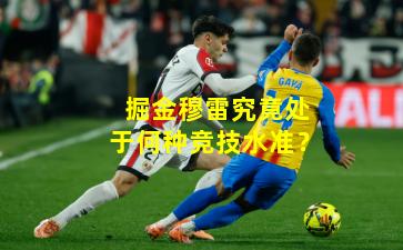 掘金穆雷究竟处于何种竞技水准？