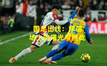 国足出线：绿茵场上的曙光与挑战