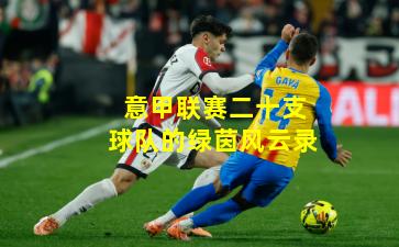 意甲联赛二十支球队的绿茵风云录