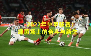 2022年中甲联赛：绿茵场上的奋斗与新生