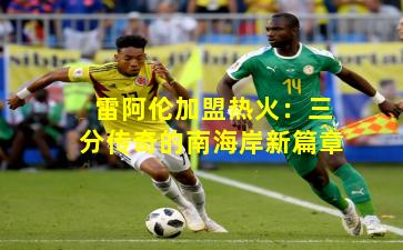 雷阿伦加盟热火：三分传奇的南海岸新篇章